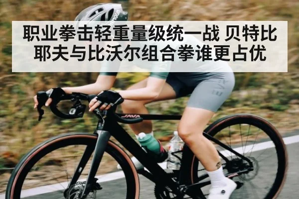 职业拳击轻重量级统一战 贝特比耶夫与比沃尔组合拳谁更占优